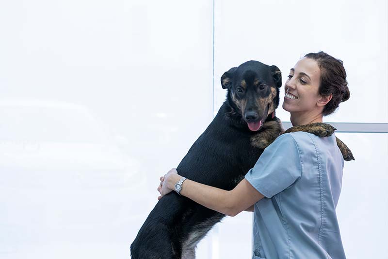 Plan salud canino adulto Plan salud canino adulto