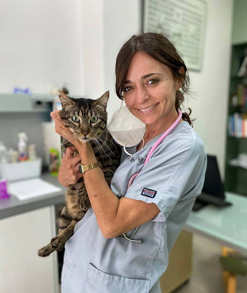 Plan de salud felino adulto