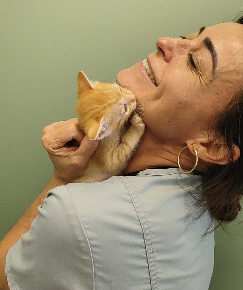 Plan salud felino cachorro