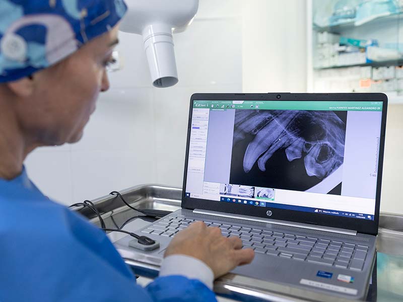 Odontología veterinaria Odontología veterinaria