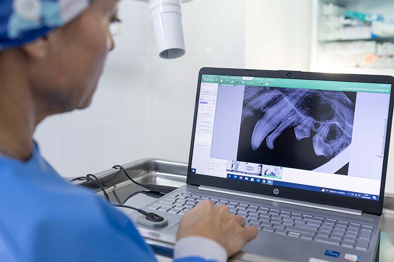 Odontología veterinaria Odontología veterinaria